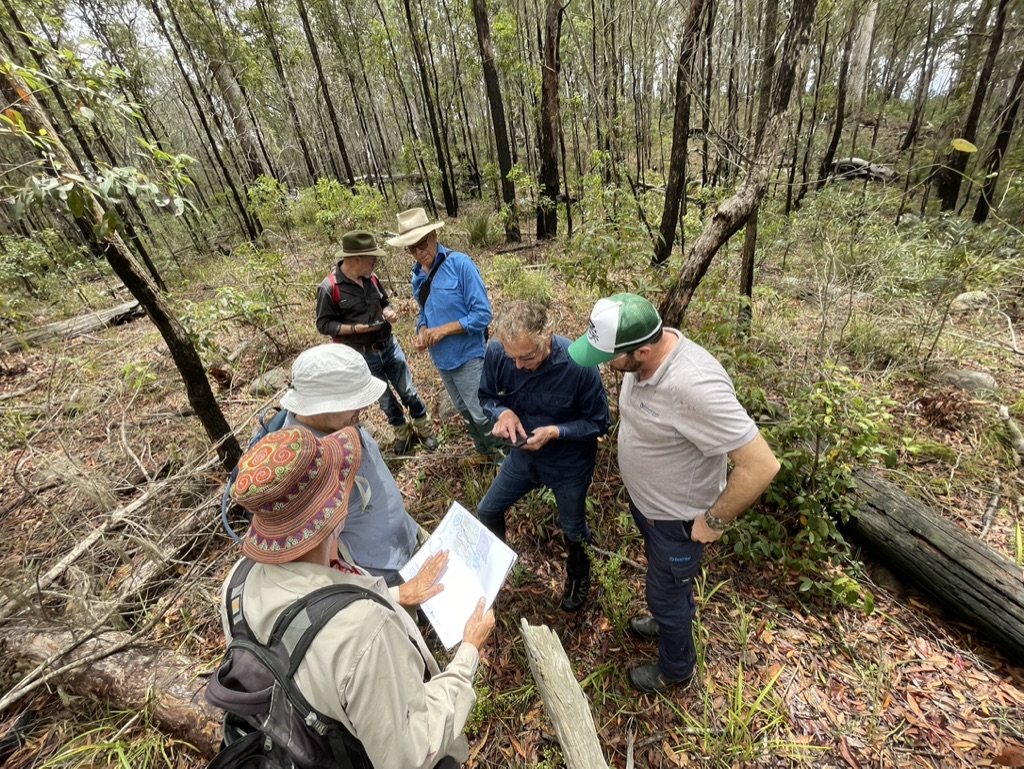 forest-team-using-maps